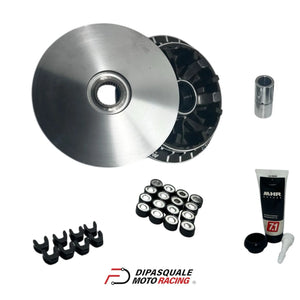variatore step 2 530560 (1)