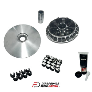 variatore step 2 530560 (2)